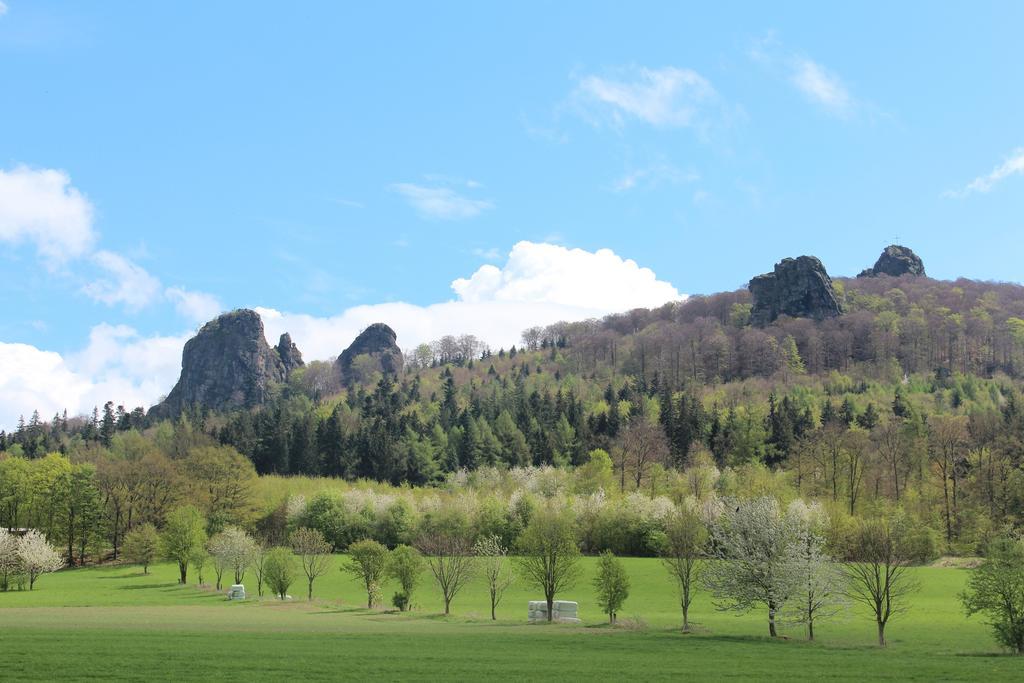 Ferienwohnung Moos-Hochsauerland Wiemeringhausen Cameră foto